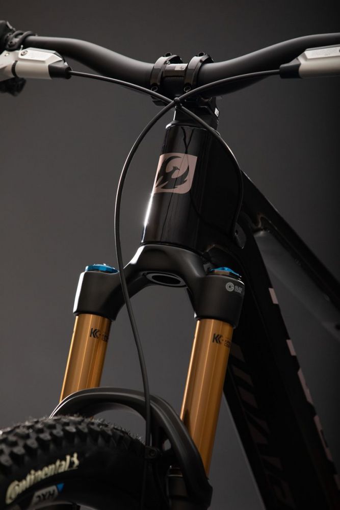 Pivot Shuttle AMPD TEAM XX Eagle Transmission, kuva 6 – Burgundy Berry Freeze