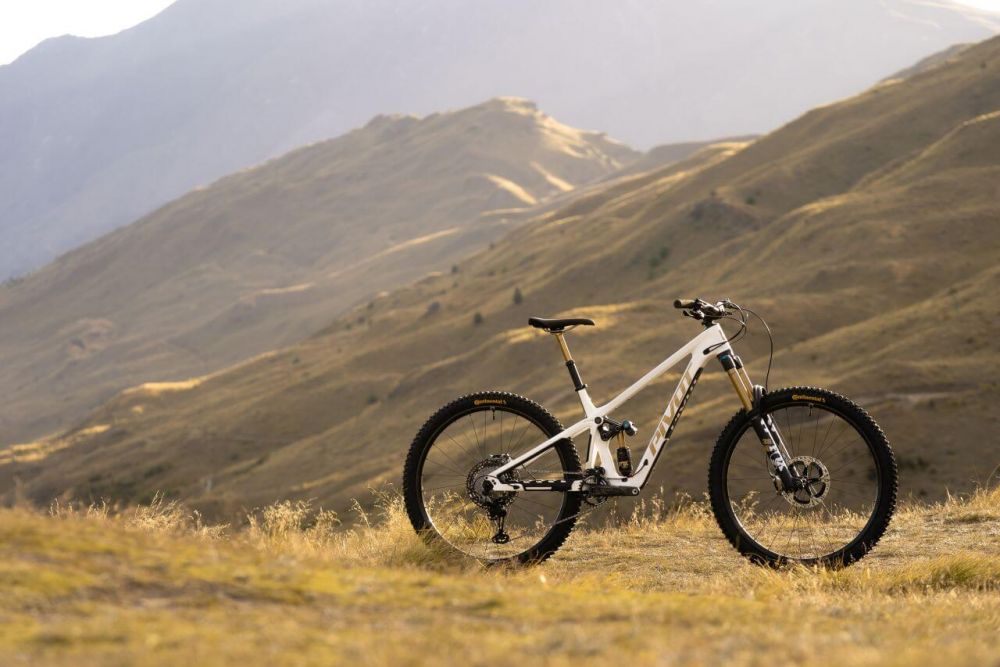 Pivot Firebird V5 Carbon