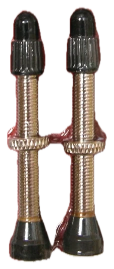 Stan's NoTubes Tubeless Valve 44mm 2 pcs