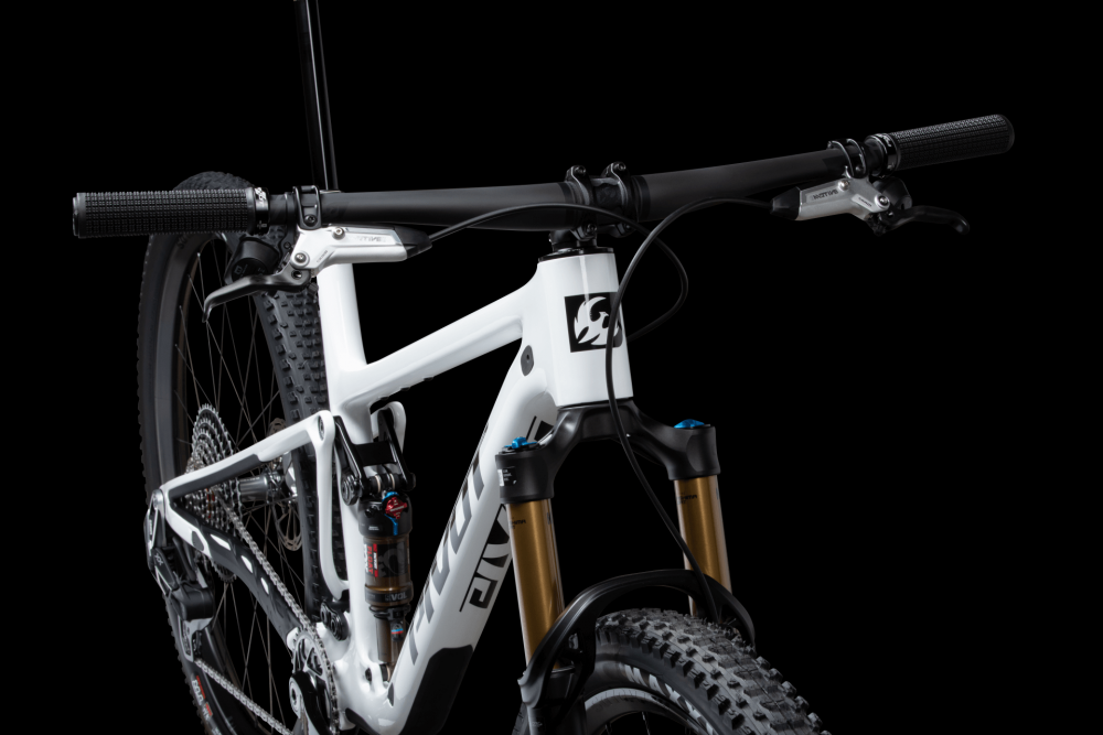 Pivot Mach 4 SL Team XX SL Eagle Transmission, image 3