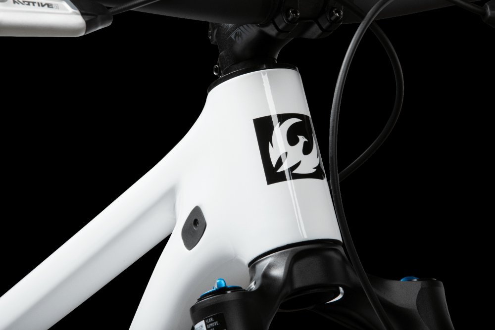Pivot Mach 4 SL Team XX SL Eagle Transmission, image 14