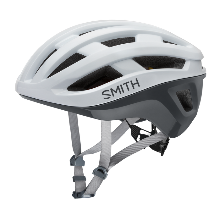 Smith Persist MIPS