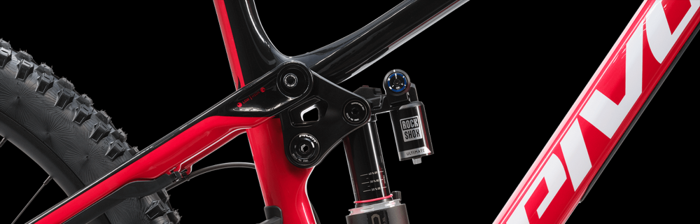 PIVOT Special Edition Phoenix DH Team XX, kuva 29