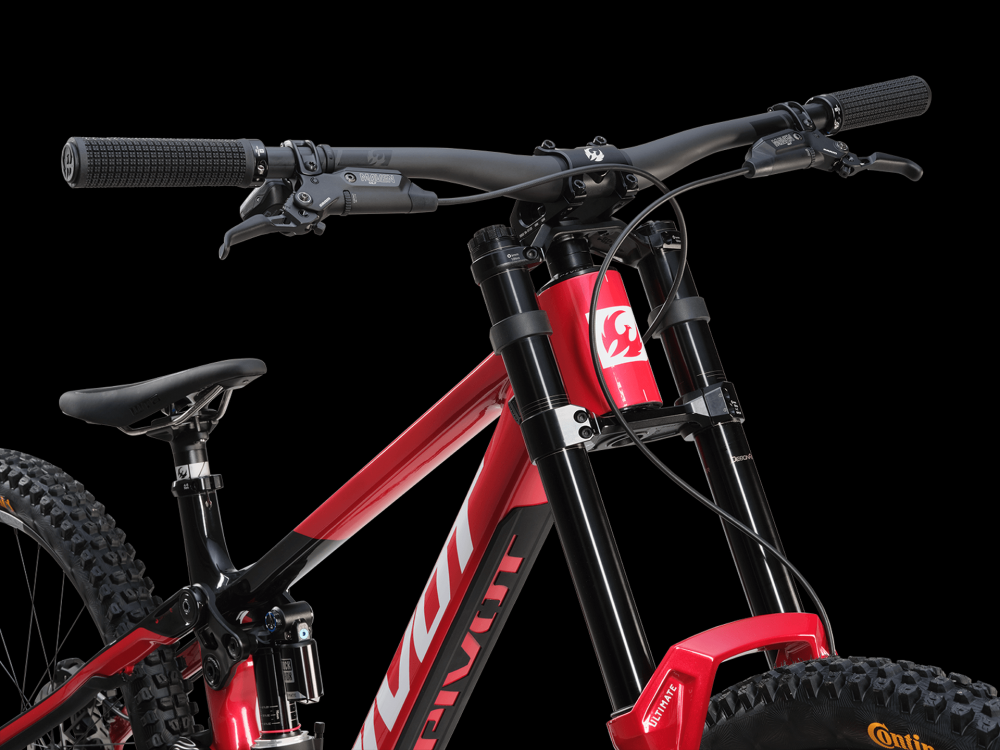 PIVOT Special Edition Phoenix DH Team XX, kuva 15