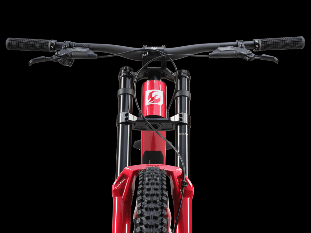 PIVOT Special Edition Phoenix DH Team XX, kuva 13