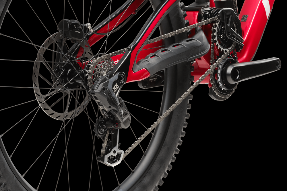 PIVOT Special Edition Phoenix DH Team XX, kuva 14
