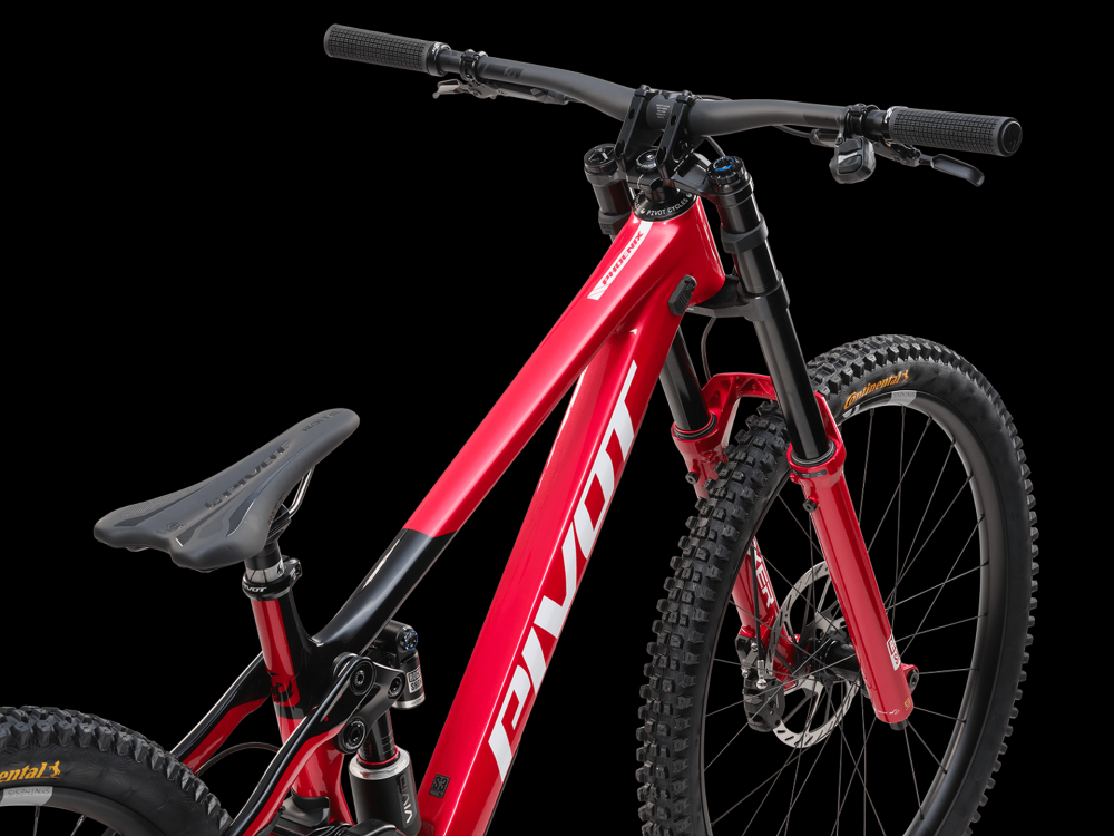 PIVOT Special Edition Phoenix DH Team XX, kuva 20