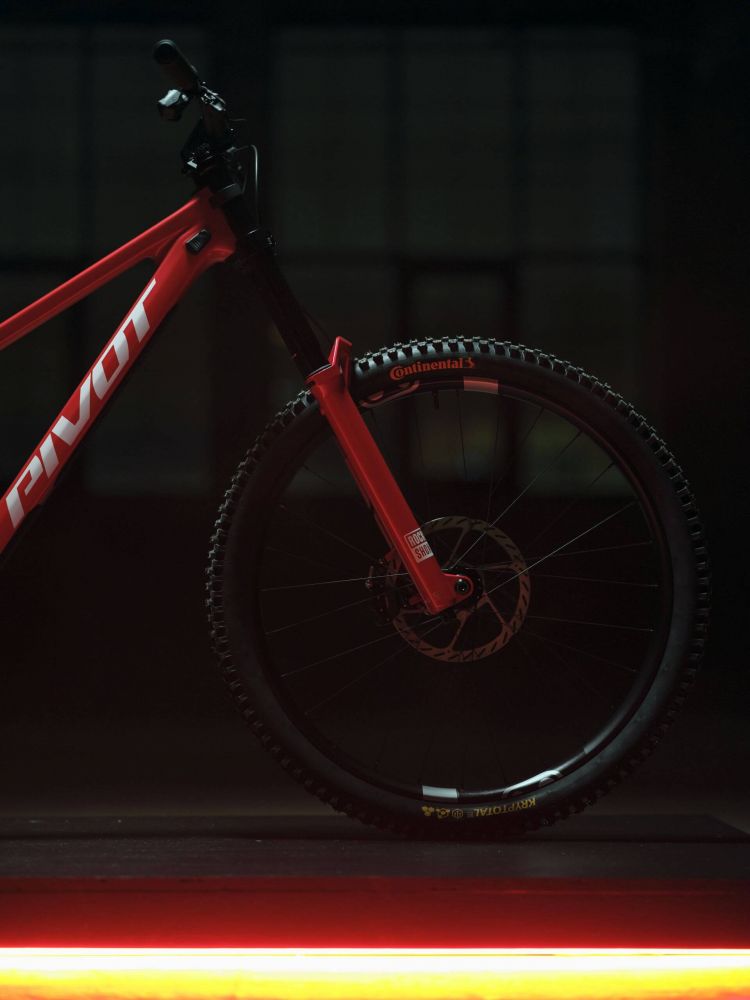 PIVOT Special Edition Phoenix DH Team XX, kuva 12