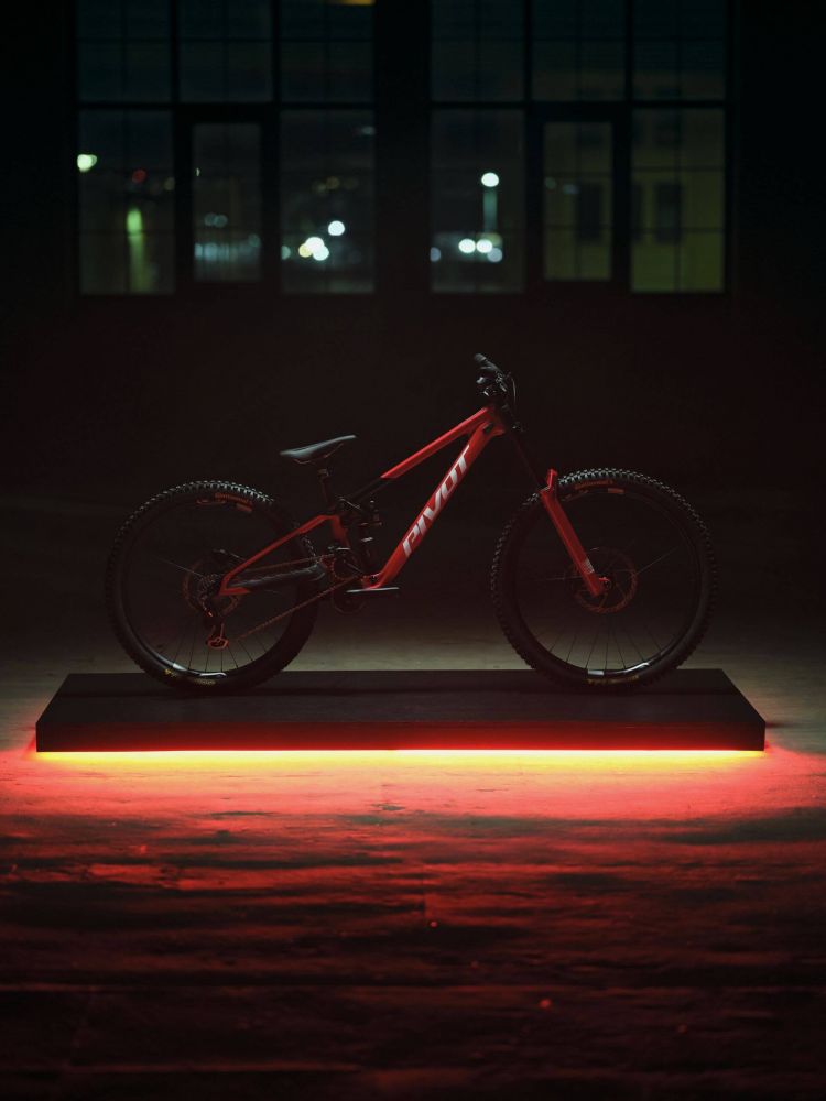 PIVOT Special Edition Phoenix DH Team XX, kuva 8