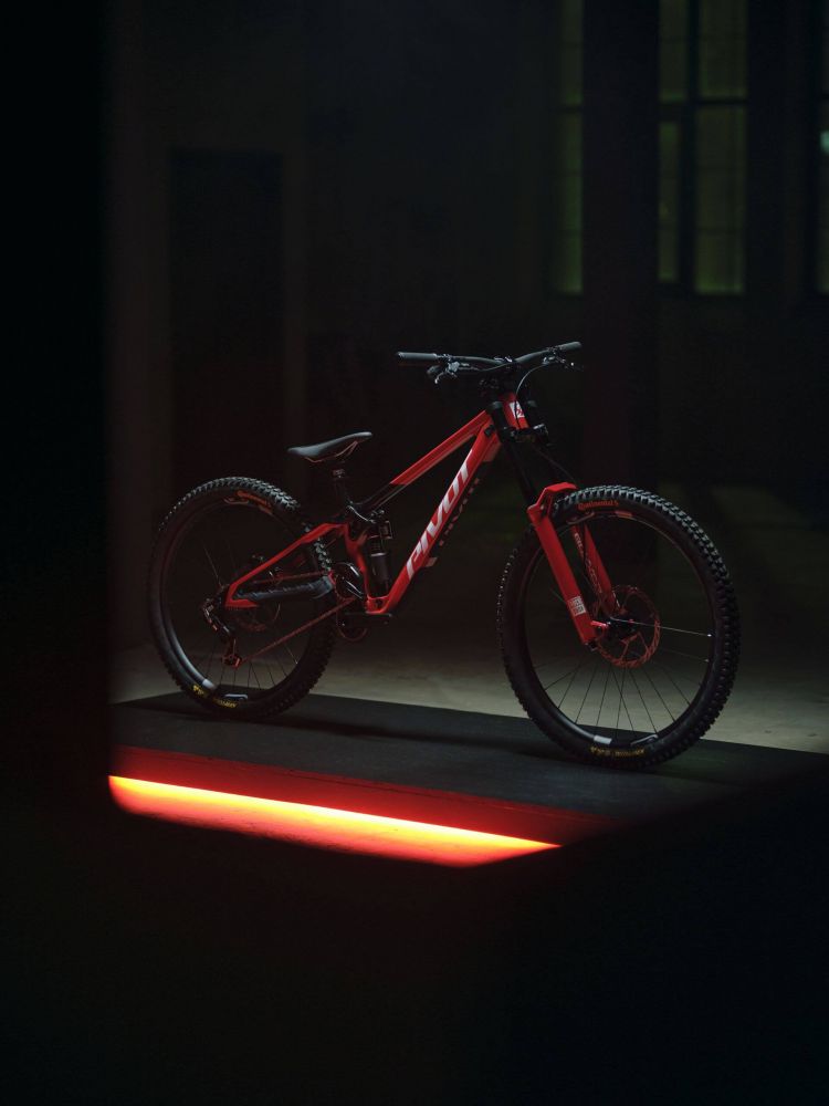 PIVOT Special Edition Phoenix DH Team XX, kuva 7
