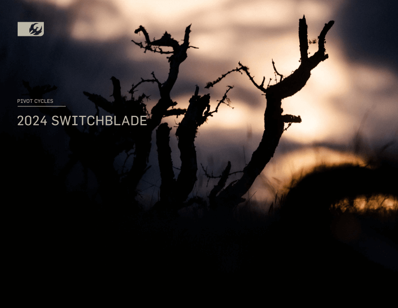 Switchblade Pro X0 Eagle Transmission, kuva 12