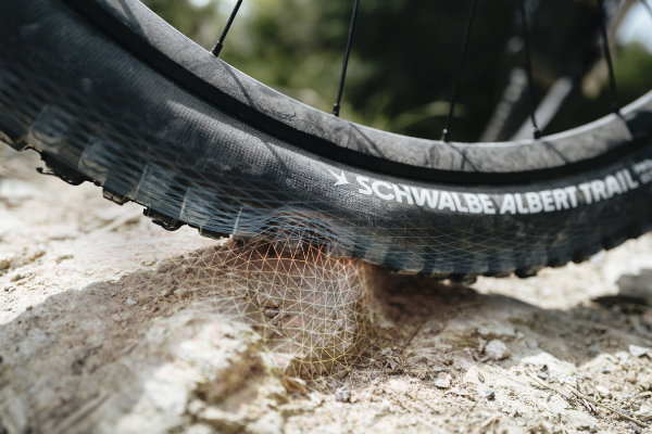 Schwalbe Albert Trail Pro Radial 29" Evolution TLR, image 7