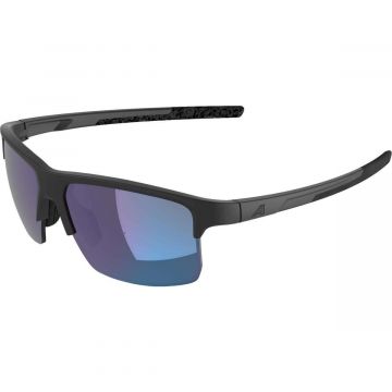 Alpina Eagle Q-Lite urheilulasit