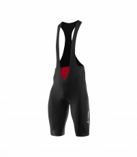 Löffler M Bike Bib Shorts Hotbond