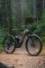 Pivot Shuttle AM Pro X0 Eagle Transmission 2026