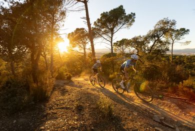 PivotTeam XX SL Eagle Transmission Flight Attendant