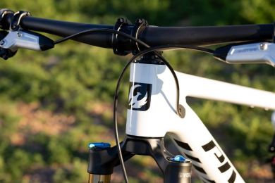 Pivot Mach 4 SL Ride Eagle 70/90 Transmission