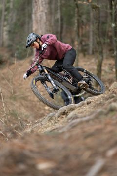 Pivot Shuttle AMPD Ride GX Eagle Transmission