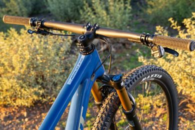 Pivot Mach 4 SL Ride Eagle 70/90 Transmission