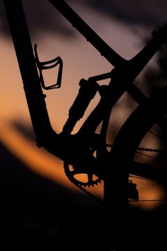 PivotTeam XX SL Eagle Transmission Flight Attendant