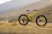 Pivot Firebird 2025 Pro X0 Transmission YOLO