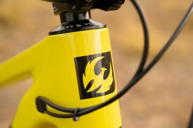 Pivot Firebird 2025 Pro X0 Transmission YOLO