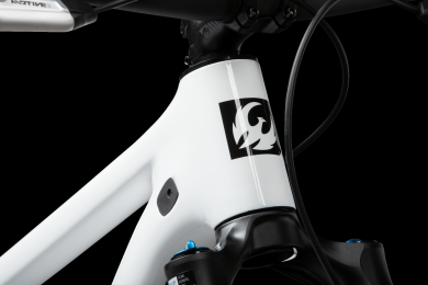 Pivot Mach 4 SL Ride Eagle 70/90 Transmission