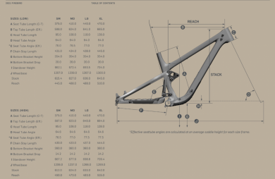 Pivot Firebird 29 Carbon RIDE XT 