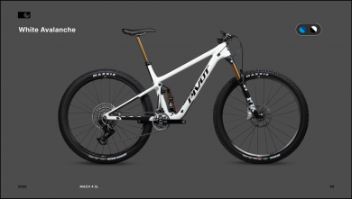 Pivot Mach 4 SL Ride Eagle 70/90 Transmission