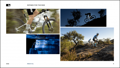 Pivot Mach 4 SL Ride Eagle 70/90 Transmission