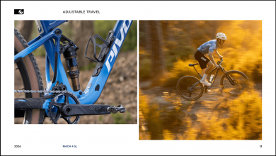 Pivot Mach 4 SL Ride Eagle 70/90 Transmission