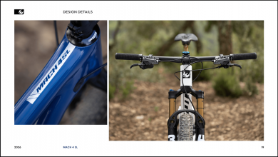 Pivot Mach 4 SL Ride Eagle 70/90 Transmission