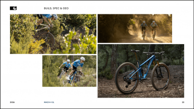 Pivot Mach 4 SL Ride Eagle 70/90 Transmission