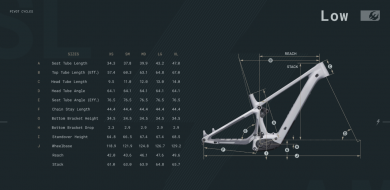 Pivot Shuttle AM-SL GEO LOW