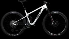 PivotTeam XX SL Eagle Transmission Flight Attendant