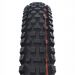 Schwalbe Albert Gravity Pro Soft Radial 29x2.50 MTB-rengas