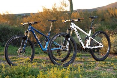 Pivot Mach 4 SL Ride Eagle 70/90 Transmission