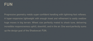 Pivot Shadowcat text