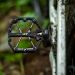 Shimano PD-M8240 platform-polkimet pitävillä nastoilla