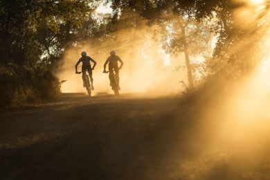 PivotTeam XX SL Eagle Transmission Flight Attendant